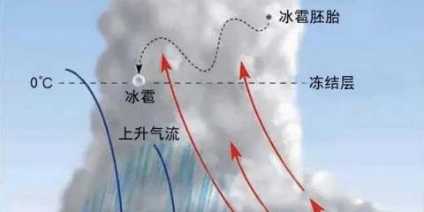 下雪太冷了的搞笑句子