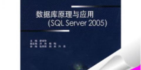 sqlserver2005开发版与其它版本有什么区别啊